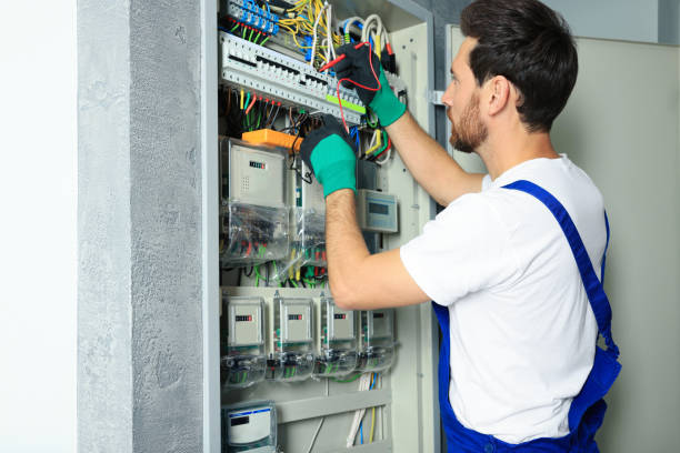 Best Electric Panel Repair  in Canton, MO
